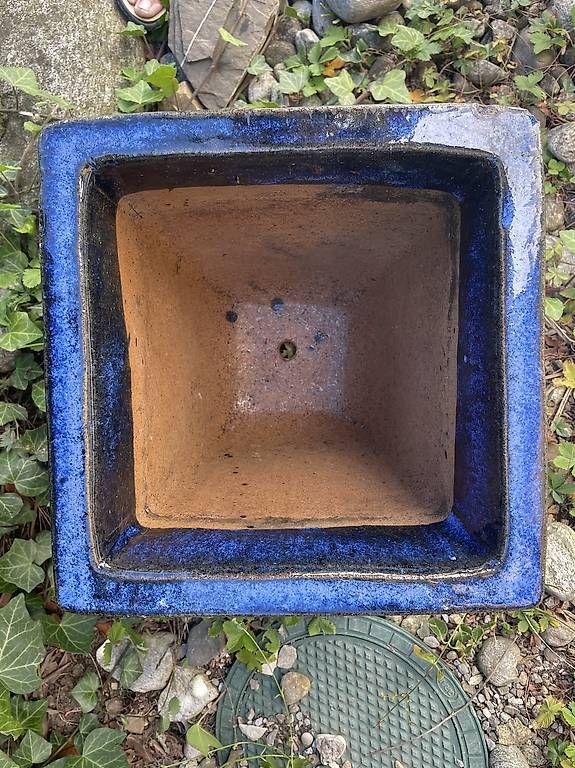 Blumentöpfe: Blauer, frostfester Tontopf – Gebraucht aus Aeugst am Albis von mia_7p89 2