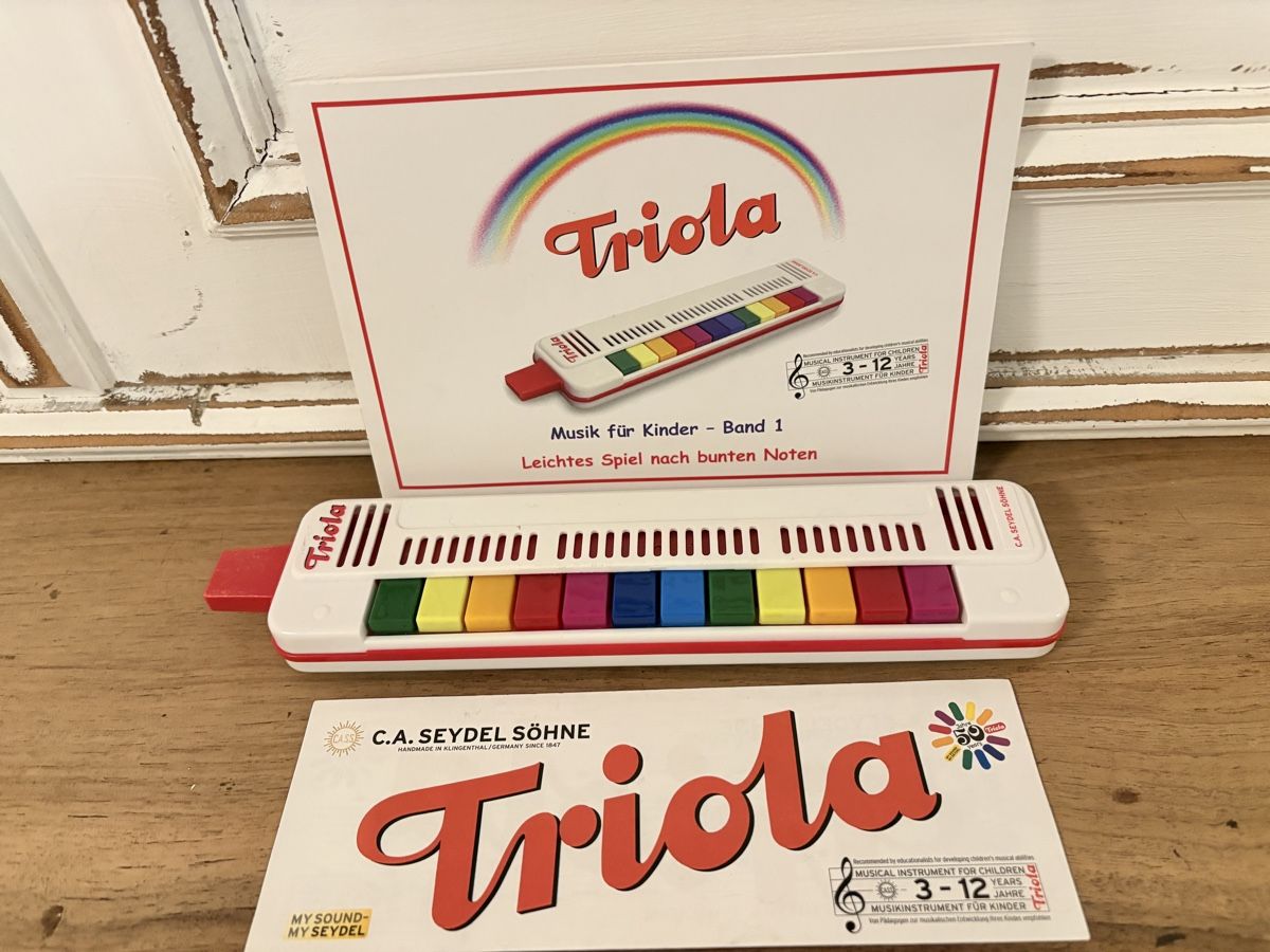 Strumenti musicali: Triola – Usato da Riehen venduto da Grayje4