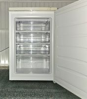 FrigeluX Gefrierschrank A++S 80L in TOP Zustand AB NUR 1.-!!