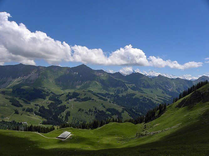 Cartine & Atlanti: geführte Berg- Wanderungen – Nuovo (secondo la descrizione) da Langnau i. E. venduto da karika