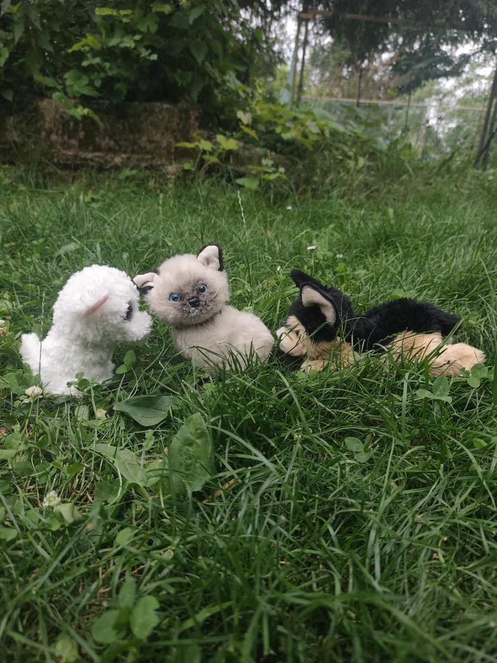 Giocattoli: Plüschtier Katze und 3 Hunde Plüschtier  – Usato da Wald ZH venduto da Enyafay 1