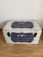 Coole Truhe Aufbewahrungsbox 35x65x38 cm