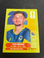 FIFA WM 2026 Sticker BIH 10