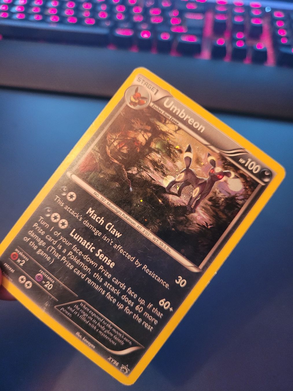 Pokémon Carte collezionabili: Pokemon - Umbreon Holo XY96 ENG – Usato da Egerkingen venduto da Pascal.FL