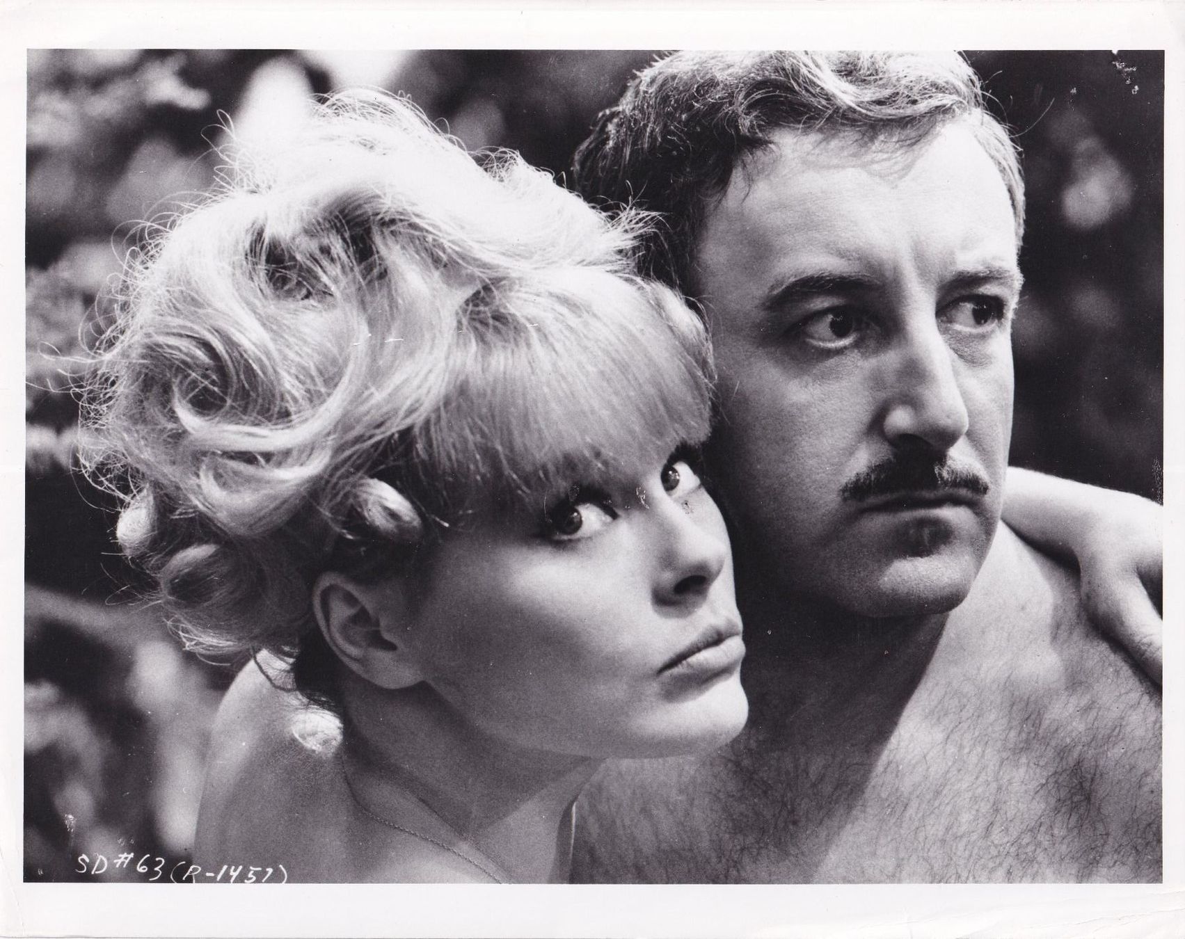 Libri: PETER SELLERS & ELKE SOMMER 1970s – Usato da St. Gallen venduto da OPEN