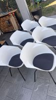 6 Schalenstühle Möbel Pfister WILA