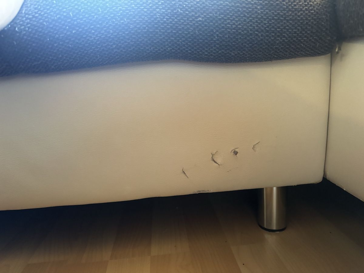 Divani: Kuhles Ecksofa, perfekt für WG oder Gamingroom. Gebraucht – Usato da Einsiedeln venduto da Svenkurt 3
