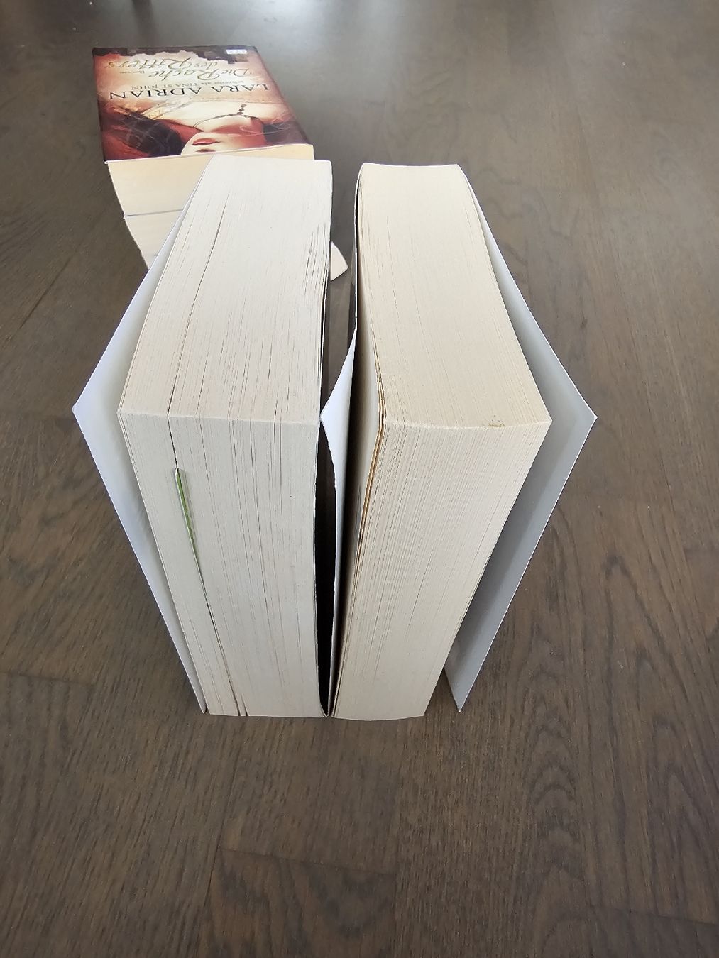 Bücher: Dorina Basarab - Karen Chance – Gebraucht aus Hinterforst von impatiently 3