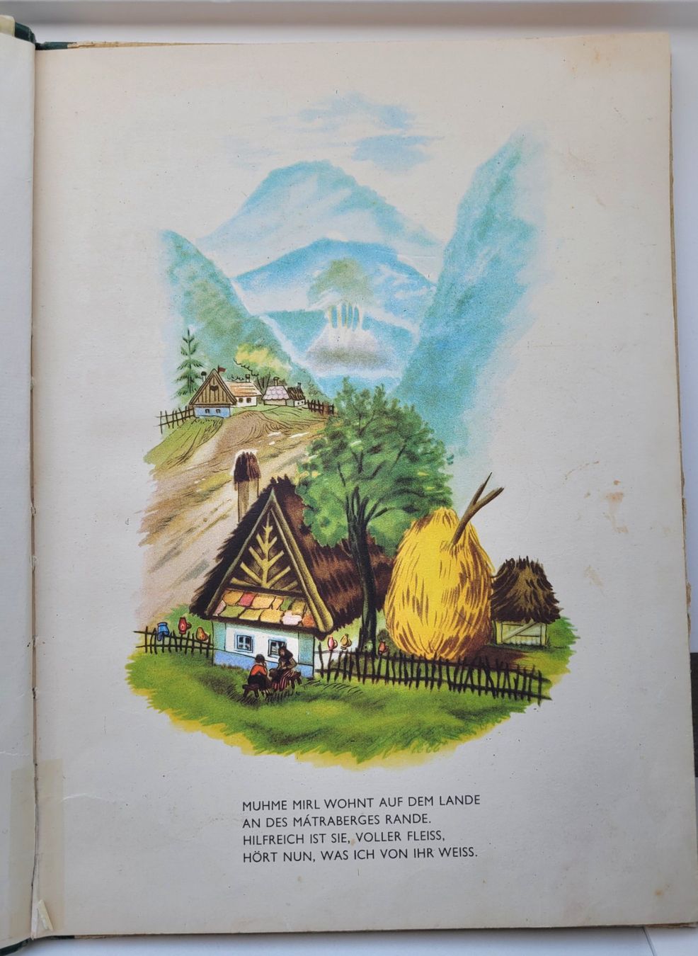 Libri: Historisches Kinderbuch – Usato da Oberuzwil venduto da rtr_wp6m 1