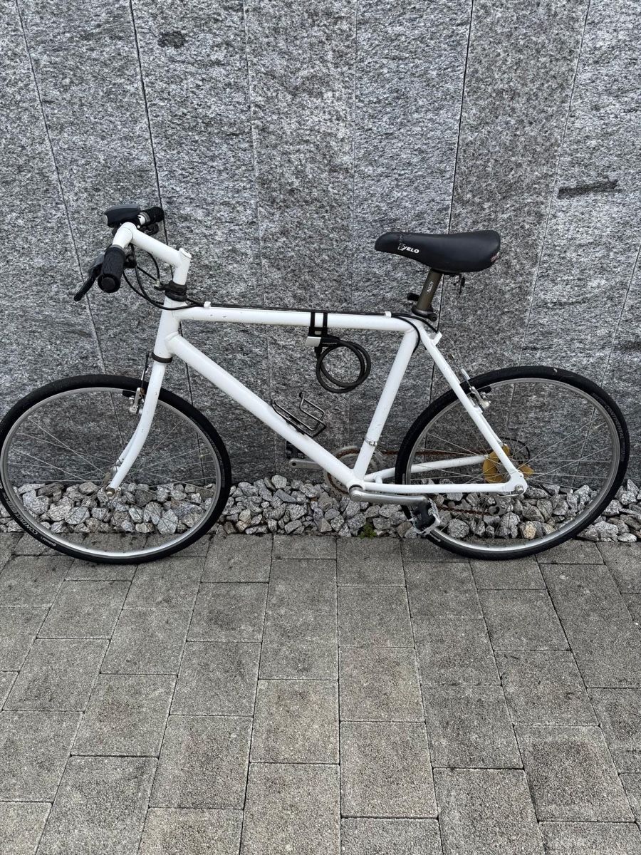 Canyon Biciclette: Canyon – Usato da Gebenstorf venduto da Contabile