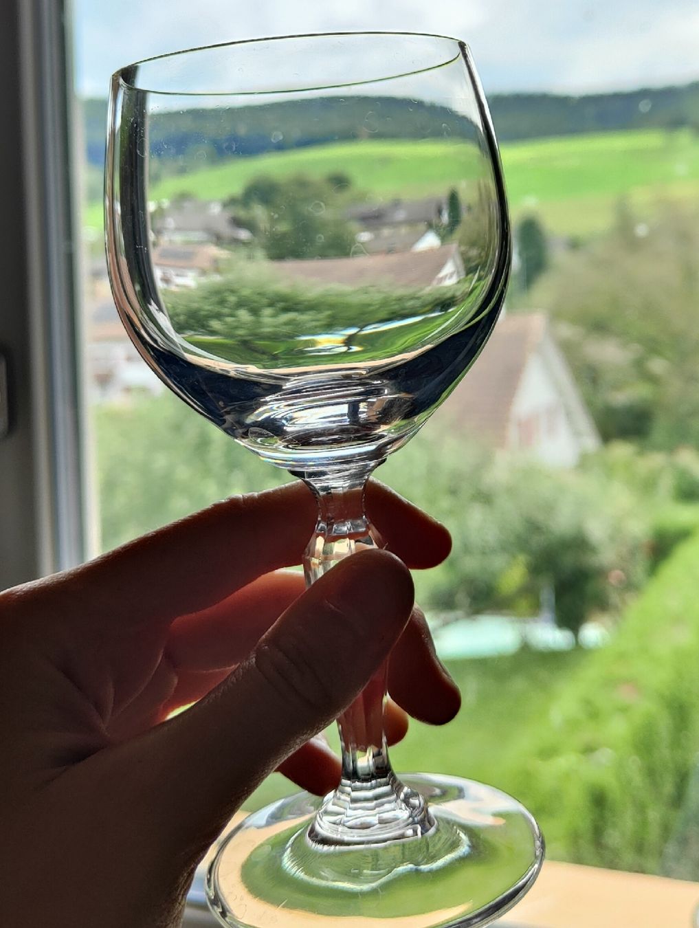 Bicchieri: Antike Weingläser, Glas – Usato da Muttenz venduto da NMtn. 2