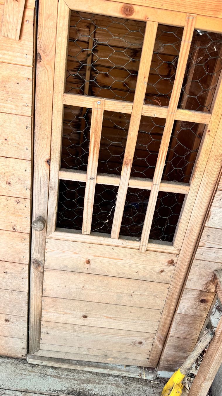 Gabbie, trasporto & Sicurezza: Hasenstall – Usato da Gossau SG venduto da MirjamVF 3
