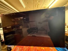 LG OLED65G29LA defekt