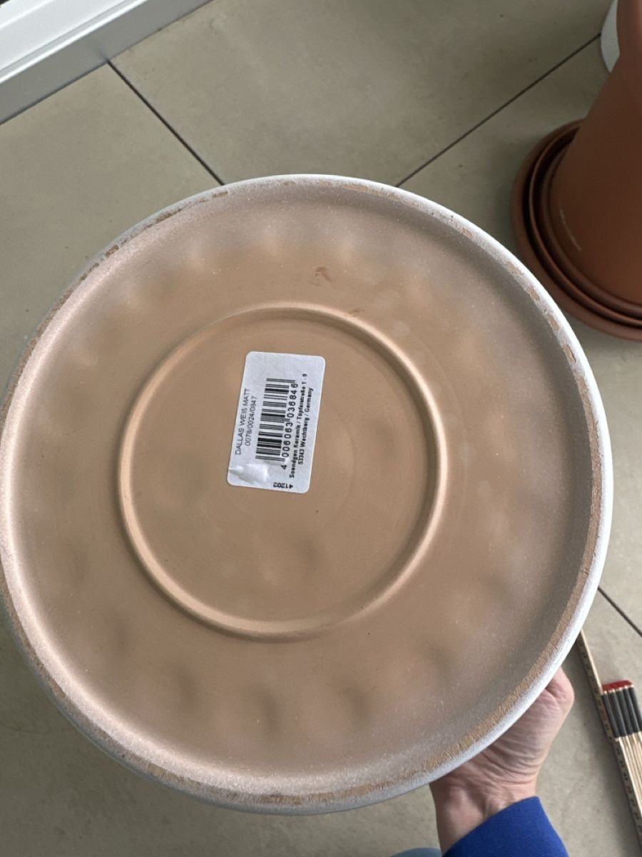 Pots de fleurs: Blumentopf weiss – D'occasion à Altbüron par janroe 3