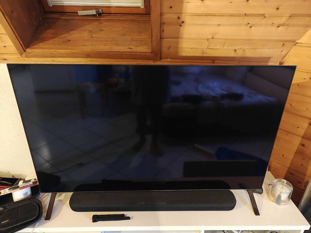 Televisori: TV LG OLED 55" (OLED55A1) – Usato da Neuchâtel venduto da ray_69zr