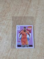 Panini Gakpo extra normal NM