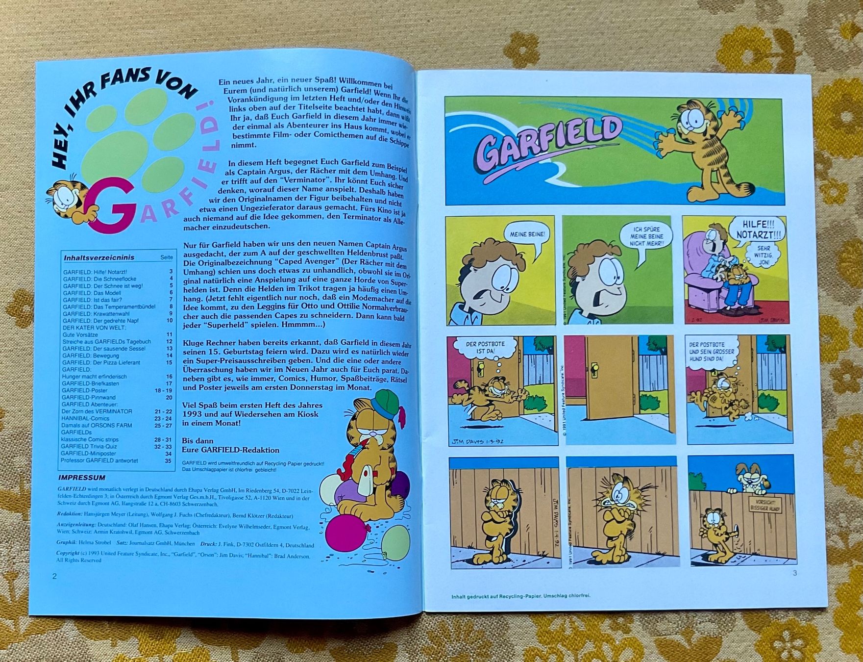 Fumetti: Garfield Heft Nr 1 von 1993 – Usato da Endingen venduto da nathan05 1