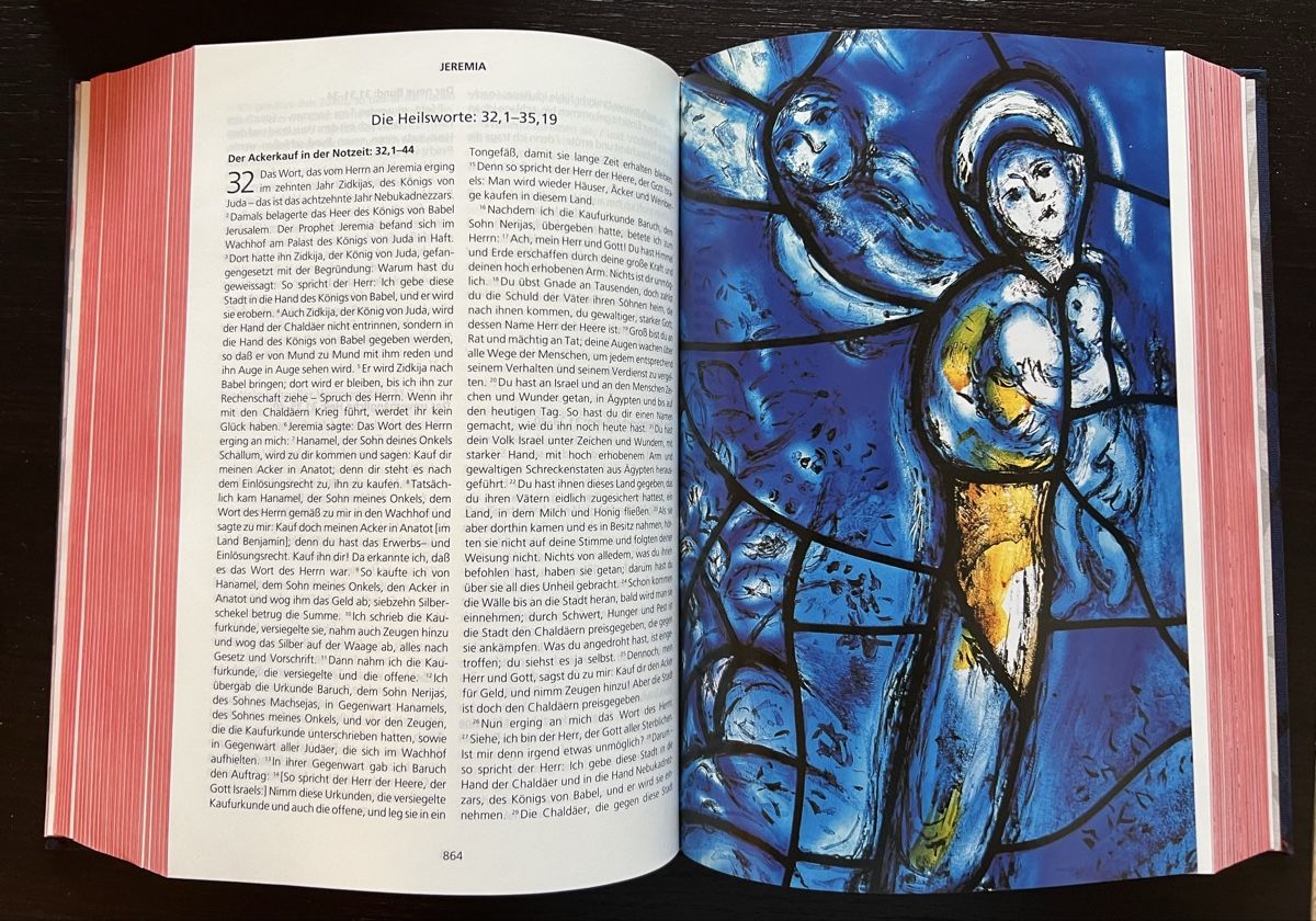 Libri: Bibel mit Bildern von Marc Chagall – Nuovo (secondo la descrizione) da Höri venduto da Tunnelchen 2