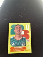 Panini MEX 14