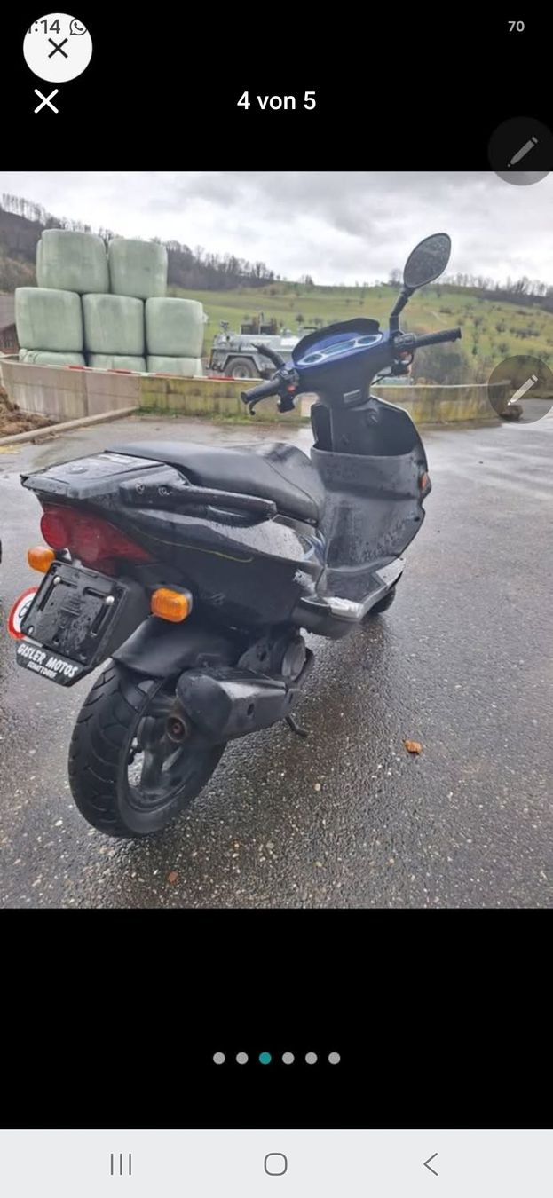 Pgo Scooters: Roller PGO T-Rex 50 blau/schwarz  – Défectueux à Dachsen par ott_86ff 1