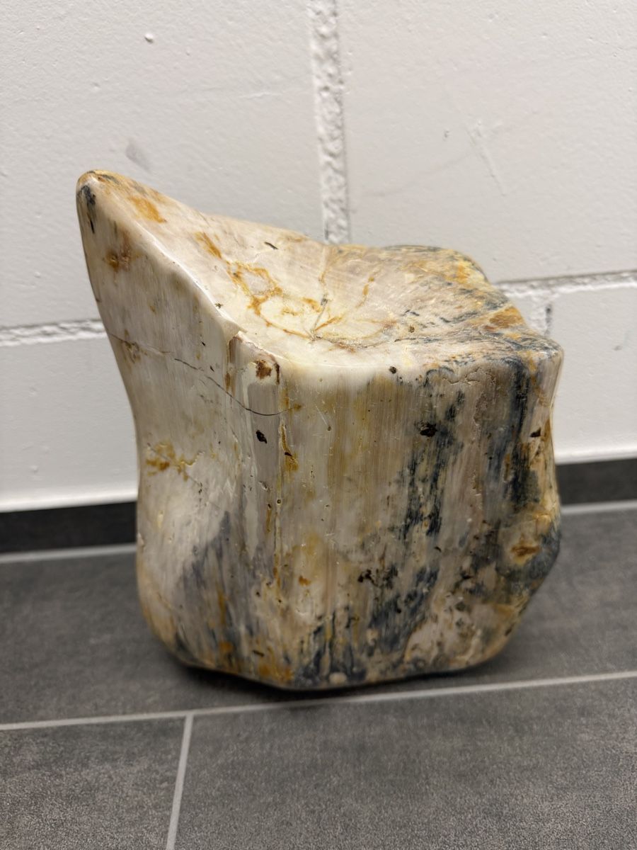 Fossilien: Versteinertes Holz – Gebraucht aus Horn von HanSolo. 1