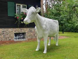 Holstein Friesian Kuh lebensgroß 3D HAEIGEMO® Milchrindrasse