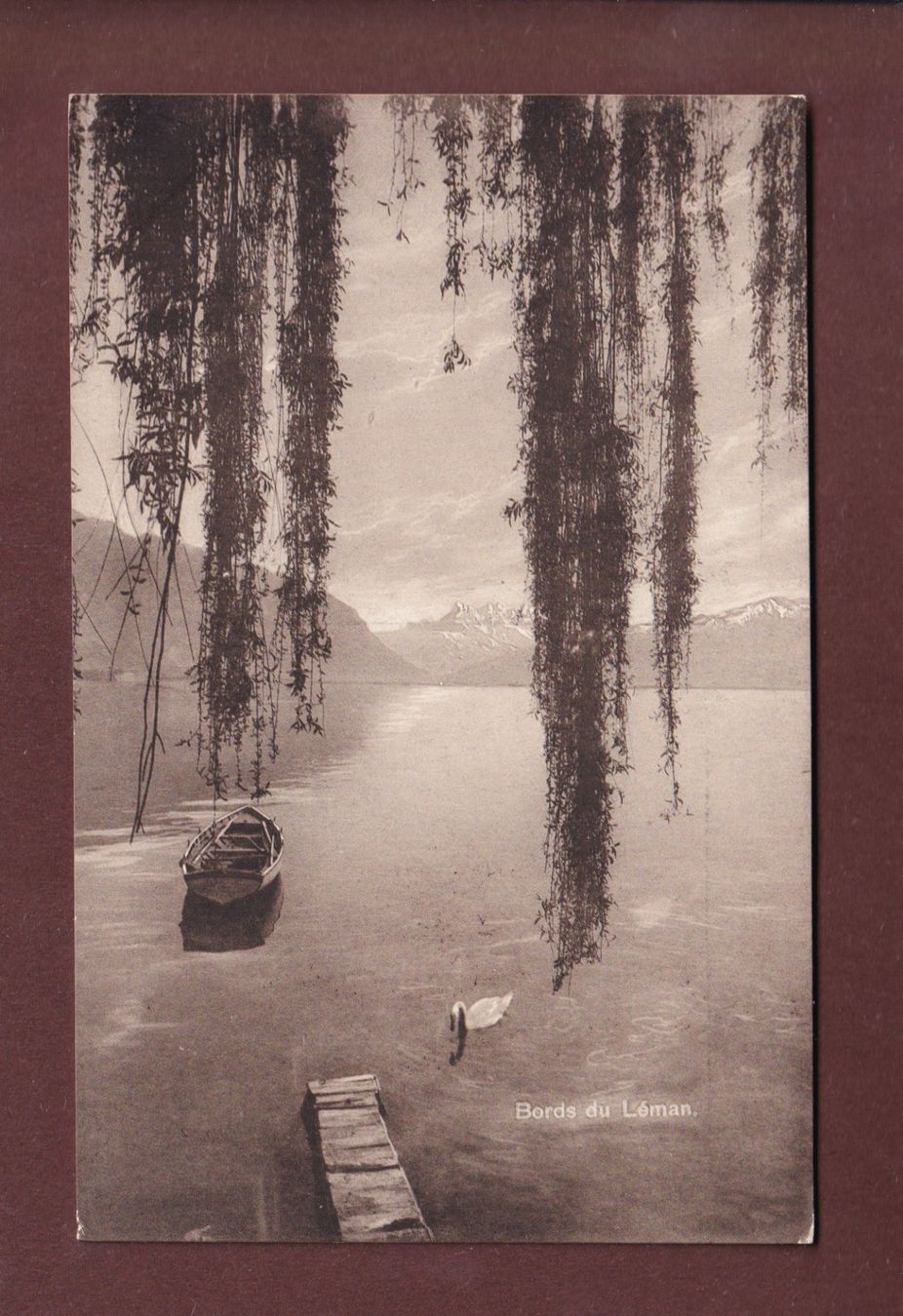Cartes postales: LAC LEMAN - Dents du Midi – D'occasion à Pully par nicecards-shop