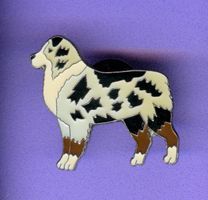 Hunderasse  Shepherd