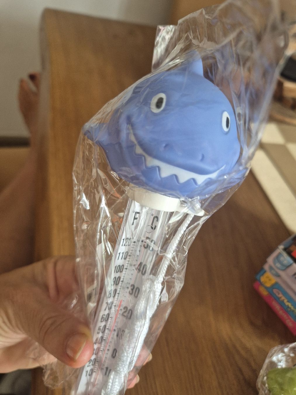 Altro per la casa: Geschenkidee Schwimmthermometer Pooltier  neu – Nuovo e nell'imballaggio originale da Urdorf venduto da villakagu 5