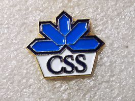 Ansteckpin 54: CSS