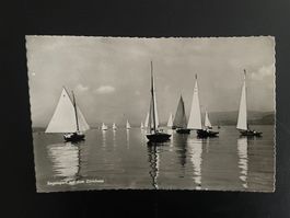 AK ZH Zürich, Segelsport auf dem Zürichsee