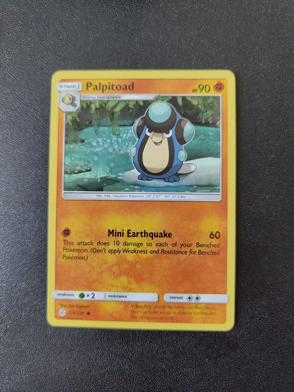 Pokémon Carte collezionabili: Palpitoad 116/236 Pokémon SM Cosmic Eclipse 2019 (EN) ab 1.- – Usato da Mezzovico venduto da finsteraar