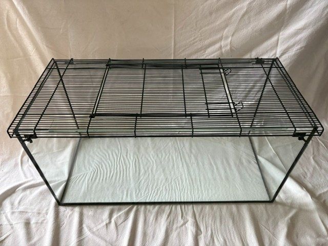 Terrarium: Terrarium – Gebraucht aus Langenthal von and_xq2q 1