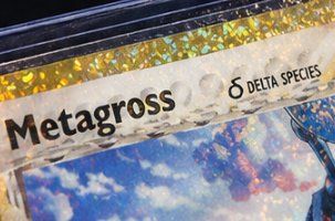 Pokémon Carte collezionabili: Pokémon Metagross – Nuovo (secondo la descrizione) da Zürich venduto da TheGaytz 4