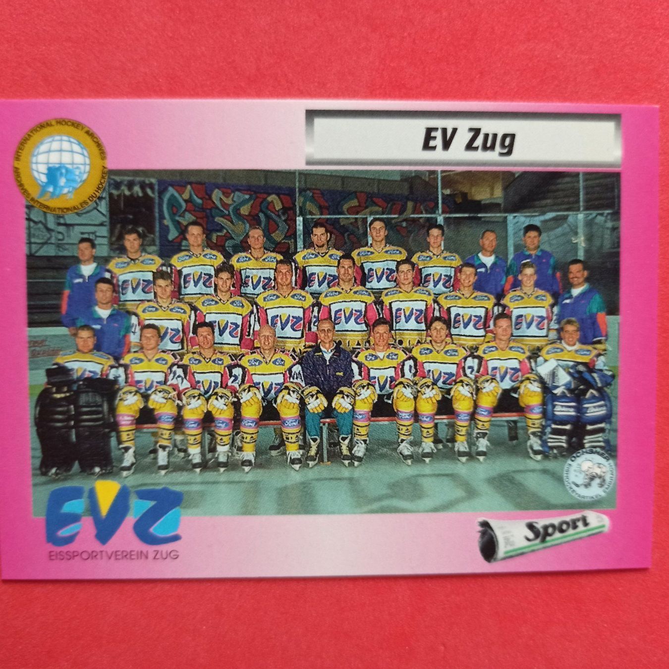 Carte collezionabili: EVZ TEAM CARD - 1993/94 – Usato da Dübendorf venduto da kb86_MOVIE