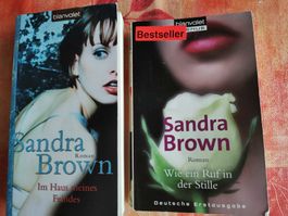 Sandra Brown, Im Haus meines Feindes, Wie ein Ruf in der Sti