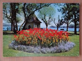 Mammern - TG - Park der Kuranstalt - 1964