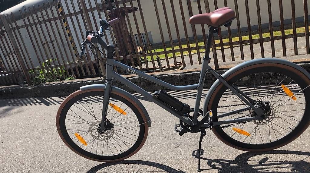 Biciclette: Sushi California Roll Pedelec / E-Bike – Usato da Bern venduto da azidan