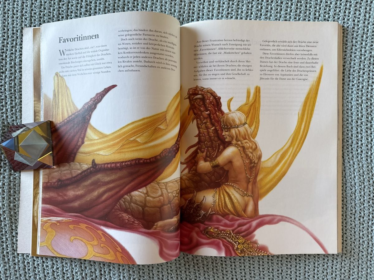 Libri: Das Buch der Drachen, Ciruelo – Usato da Eschenz venduto da Belladog 6