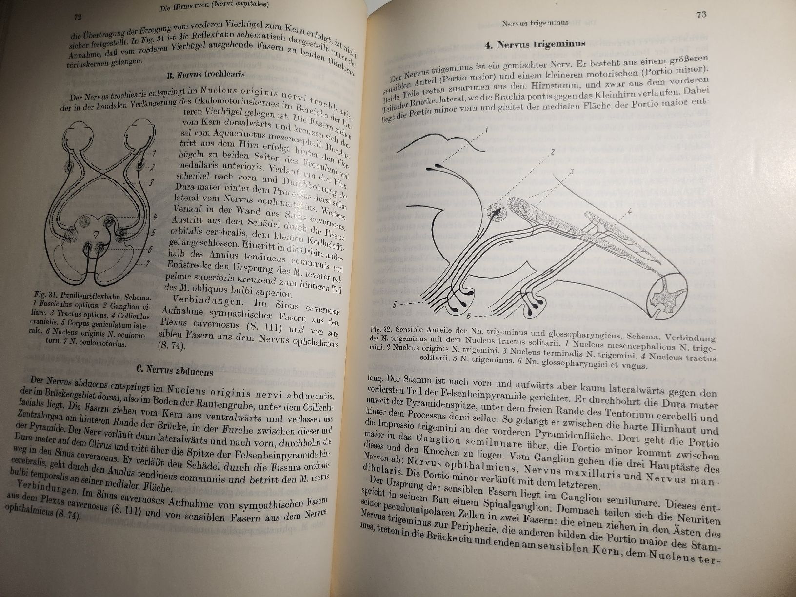 Libri: Villiger / Ludwig - Die Periphere Innervation – Usato da Dietikon venduto da Buchantiqdietikon 2
