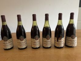 6 Flaschen Nuits-Saint-Georges 1980 - Rarität für Weinkenner