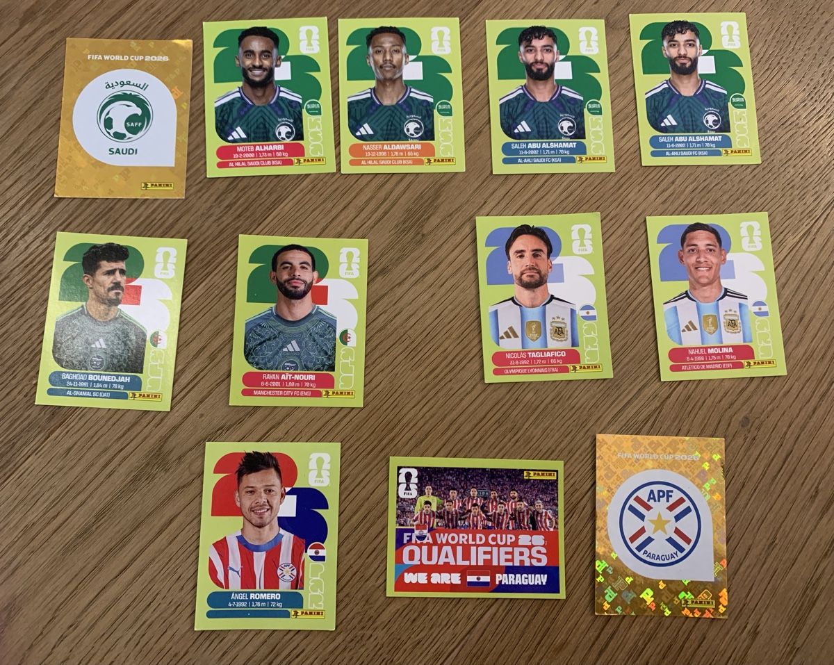 Panini FIFA World Cup 2026 Sticker (Neu (gemäss Beschreibung)) in ...