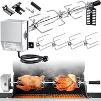 Motor-Grillspieß Set Edelstahl BBQ 116cm