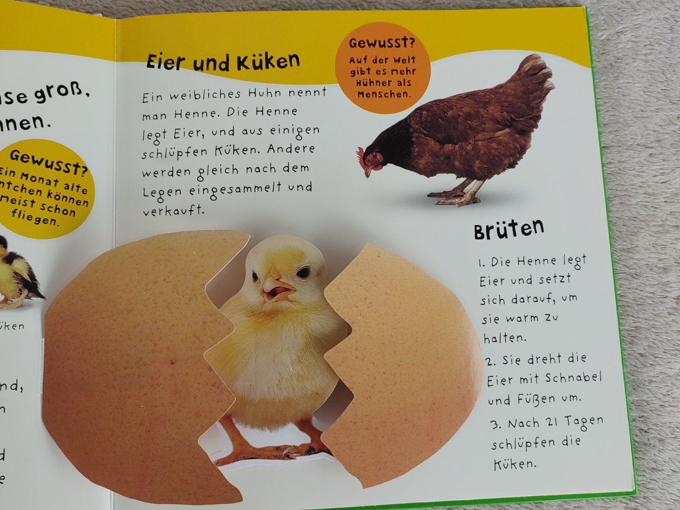Libri: Pop-Up Wissen Bauernhof – Usato da Strengelbach venduto da Phorensic_30 5