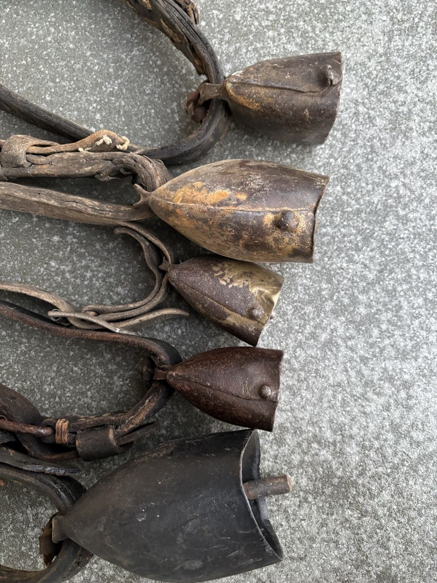 Campanacci mucche: 5 Alte Schaftreicheln. – Usato da Schangnau venduto da Roseggli82 4