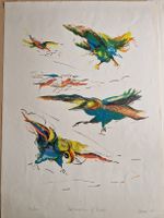 Vintage Vogel Lithographie Impressions of Birds
