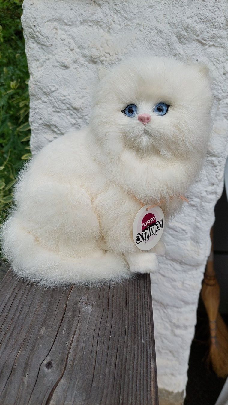Tops: Peluche chat blanc – Neu und originalverpackt aus Marsens von fakia