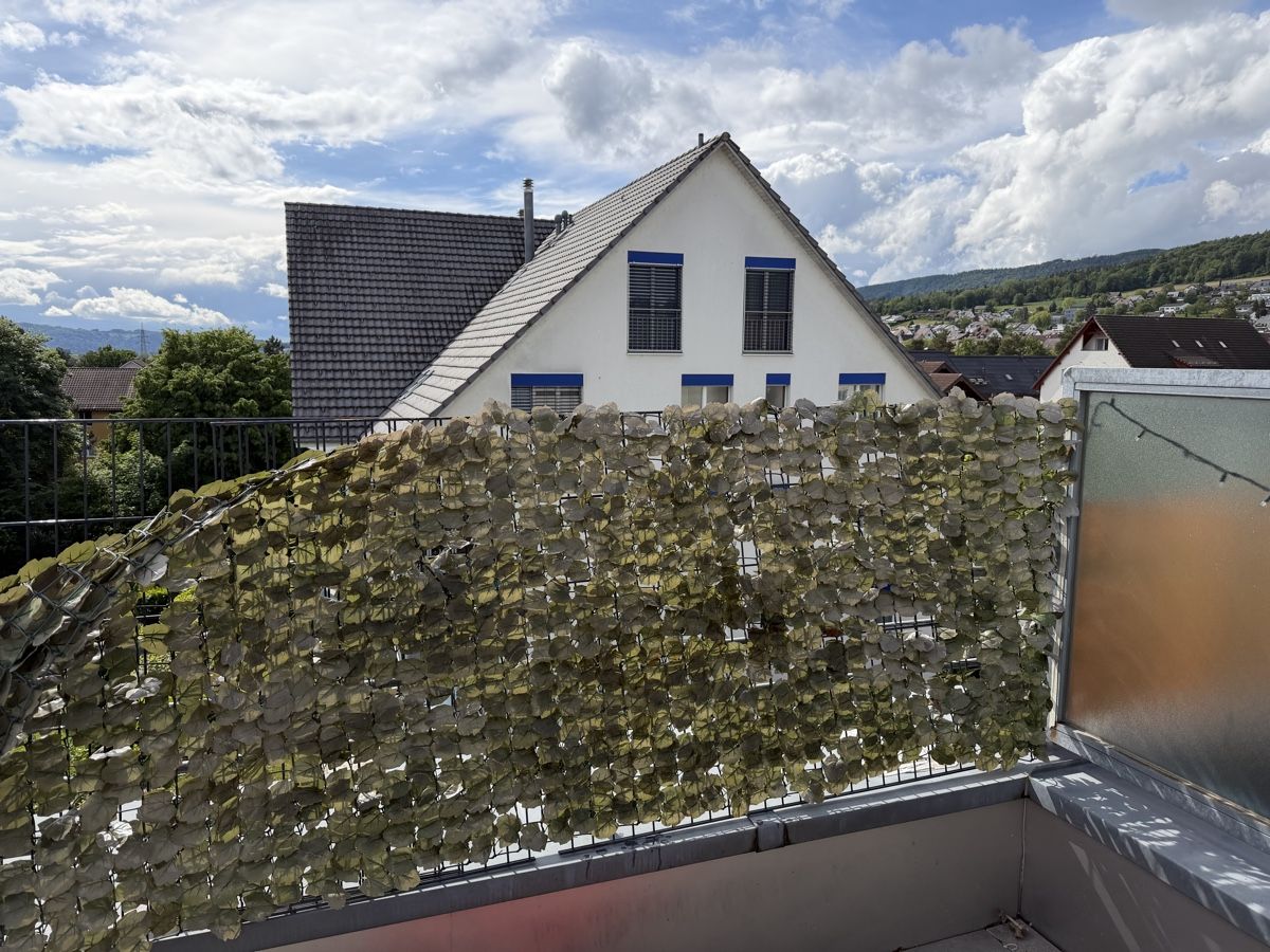 Griglie e Inferriate: Balkongitter/Metallgitger – Usato da Buchs ZH venduto da Mefece