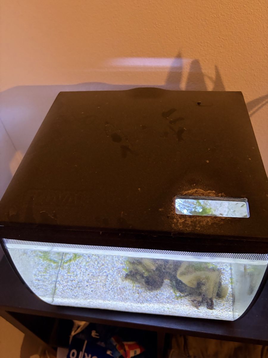 Acquari: Fluval Aquarium 34l – Usato da Malters venduto da Sale99 1