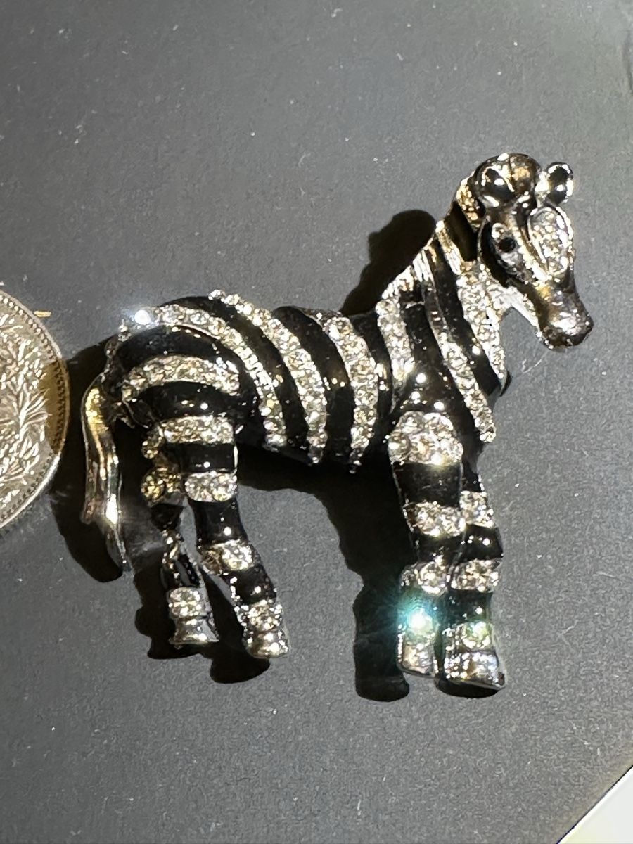 Spille & Fermagli: Brosche Zebra mit Strasssteinen – Nuovo (secondo la descrizione) da Trüllikon venduto da angela4444
